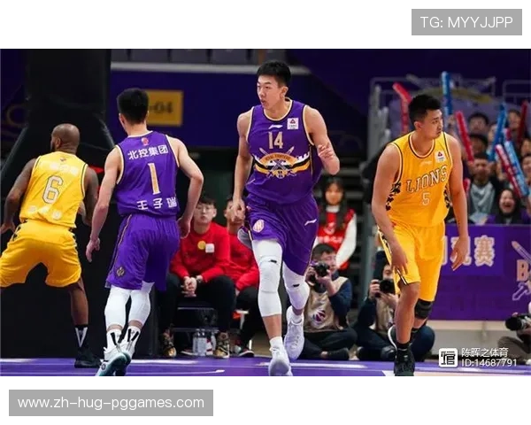 江苏省现有CBA球队数量及未来扩展计划展望