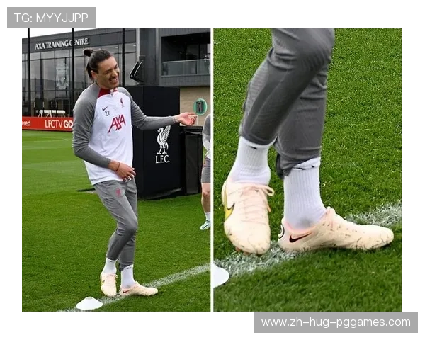 英超球员比赛穿着的球鞋品牌统计