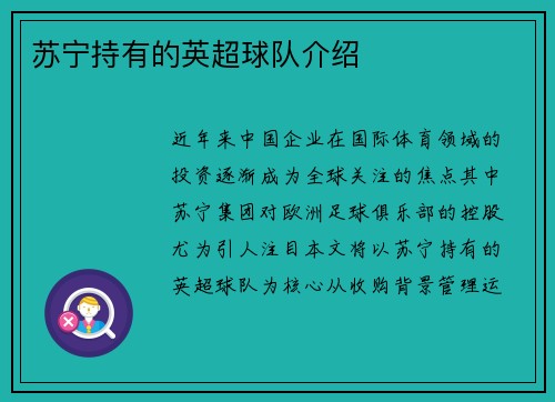 苏宁持有的英超球队介绍